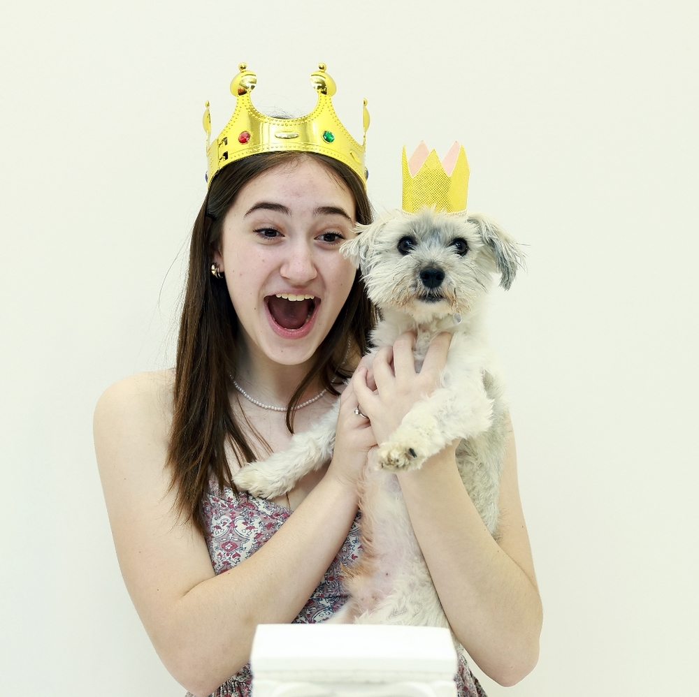 Newborn Crown or Pet Birthday Crown